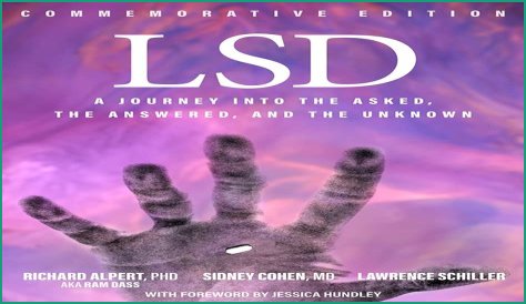 A Journey Into Musical Depth And Discovery